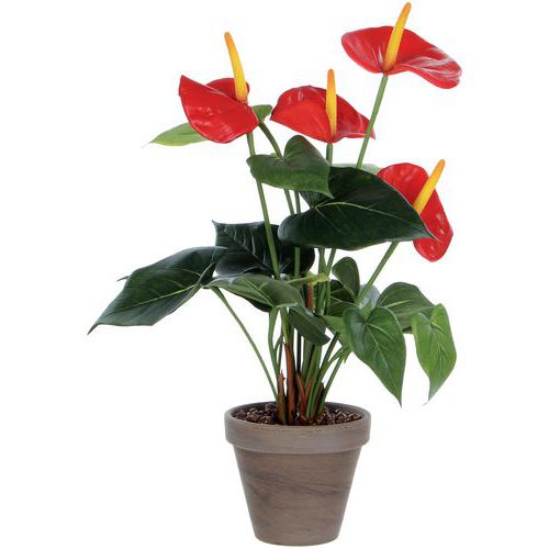 Kunstig Anthurium plante - Vepabins