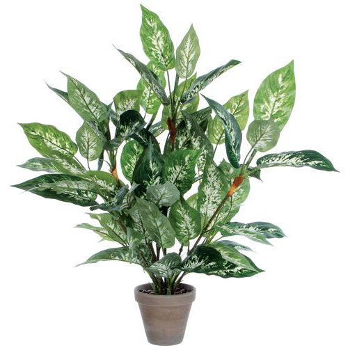 Kunstig plante Dieffenbachia - Vepabins