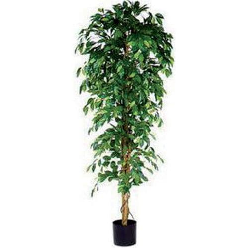 Kunstig Ficus Benjamina 210cm ekskl. dekorativ potte - Vepabins